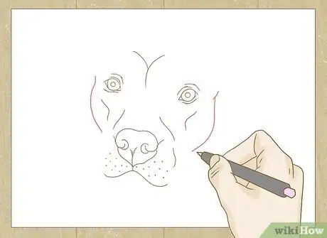 Image titled Draw a Pitbull Step 17