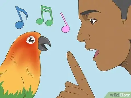 Image titled Teach a Conure to Talk Step 10