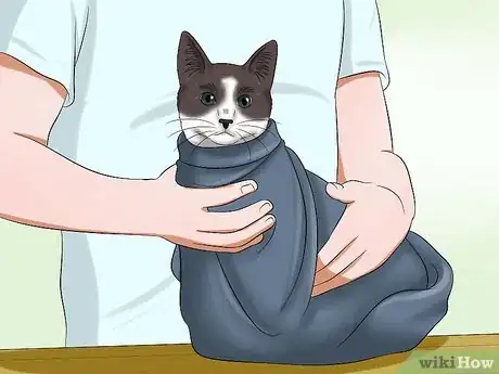 Image titled Use a Cat Comfort Bag Step 10