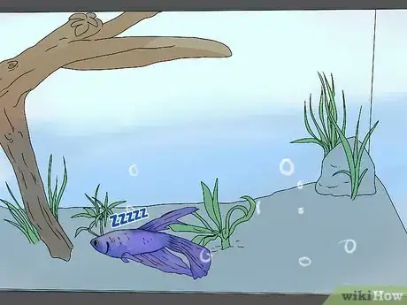 Image titled Tell if Your Fish Is Dead Step 11