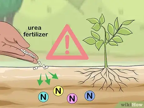 Image titled Apply Urea Fertilizer Step 6