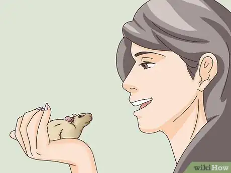 Image titled Bond With Your Pet Rat Step 13