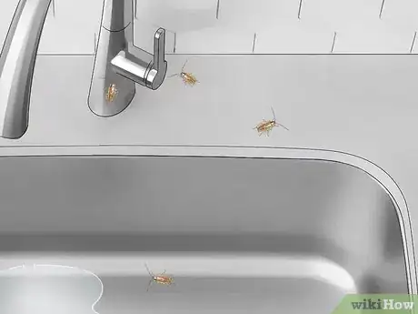 Image titled Identify a Cockroach Step 10