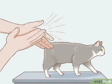 Image titled Help a Deaf Cat Step 3