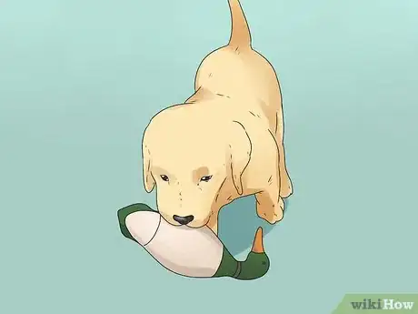 Image titled Train Your Dog to Hunt Step 11