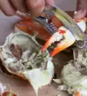 Eat Crabs