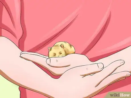 Image titled Get a Hamster out of Hibernation Step 5