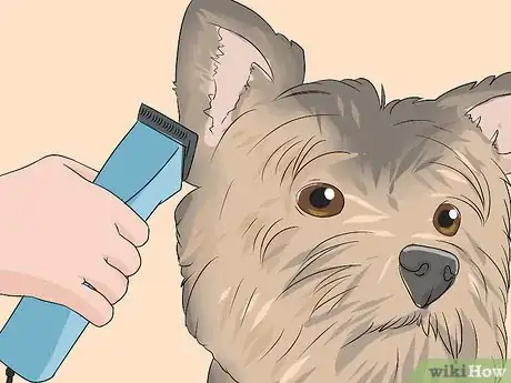 Image titled Trim a Yorkie's Face Step 7