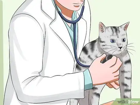Image titled Prevent Feline Panleukopenia (Distemper) Step 9