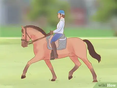 Image titled Teach a Horse to Ride Tackless Step 2