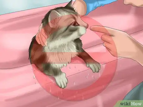 Image titled Bathe a Cat Step 10