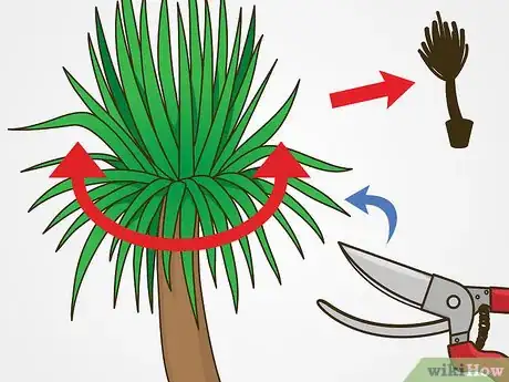 Image titled Prune Yucca Plants Step 1