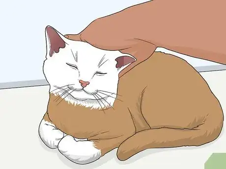 Image titled Gain a Cat's Trust Step 11
