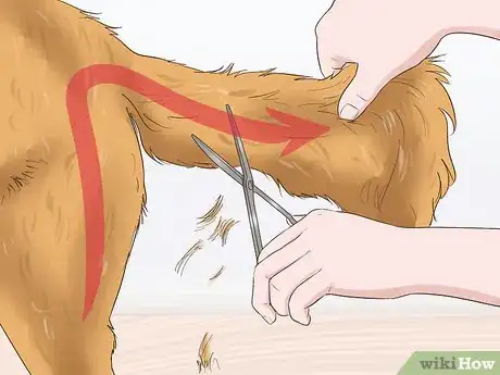 Image titled Trim the Coat of a Long Hair Dog Step 11