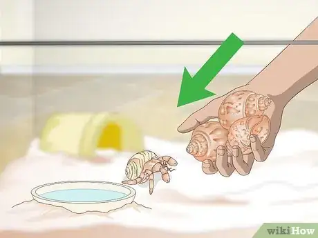 Image titled Decorate Your Hermit Crab's Tank Step 7