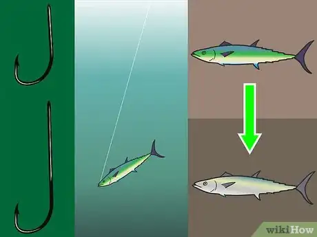 Image titled Choose a Hook for Saltwater Fishing Step 3