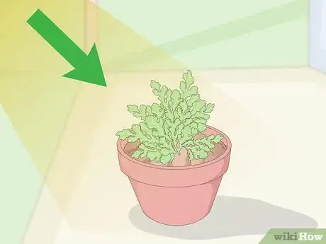 Image titled Keep Your Plants from Dying Step 6