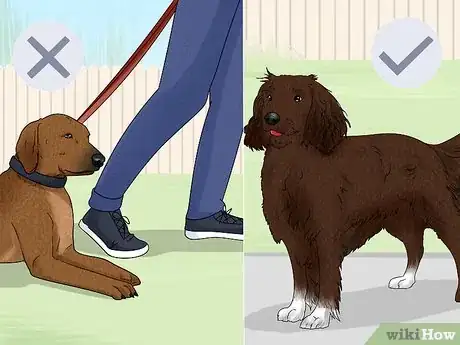 Image titled Train Your Service Dog Without a Professional Trainer Step 9