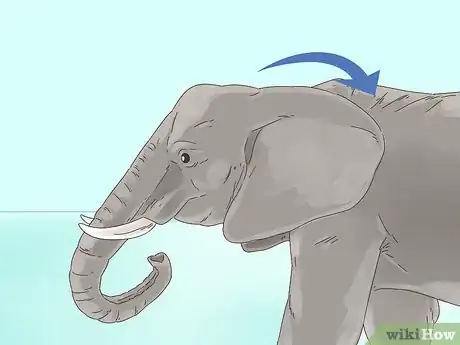 Image titled Survive a Charging Elephant Step 1