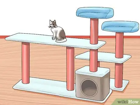 Image titled Exercise a Cat Step 14