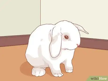Image titled Raise a Lop Eared Rabbit As a Pet Step 4