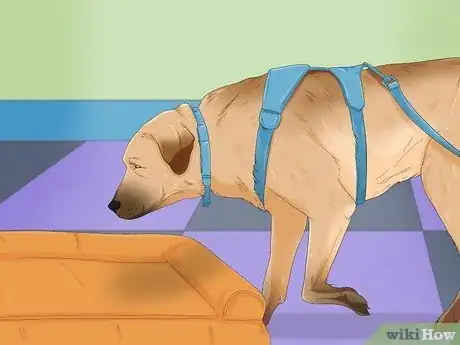 Image titled Make Your Dog Stop Sleeping in Your Bed Step 7
