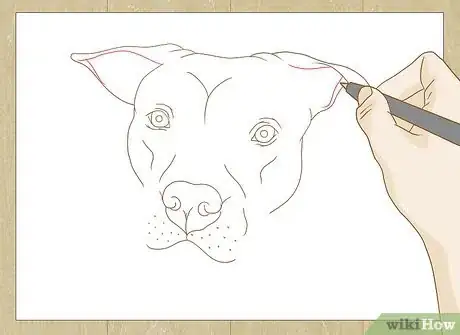 Image titled Draw a Pitbull Step 22