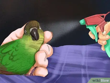 Image titled Care for a Conure Step 26