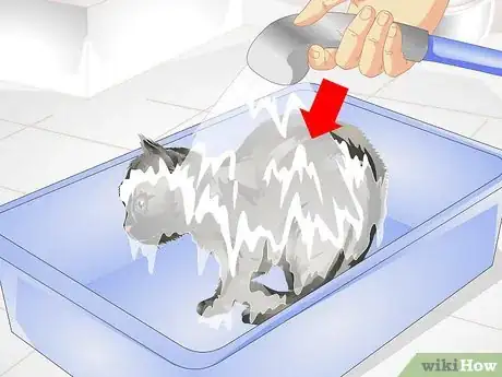 Image titled Remove Urine Smells from a Pet Step 9