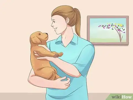 Image titled Give Away a Puppy Step 11