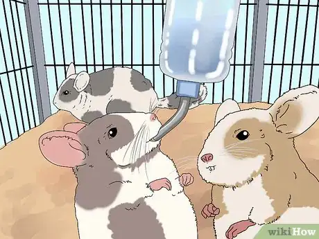 Image titled Break Up Fights Between Chinchillas Step 11