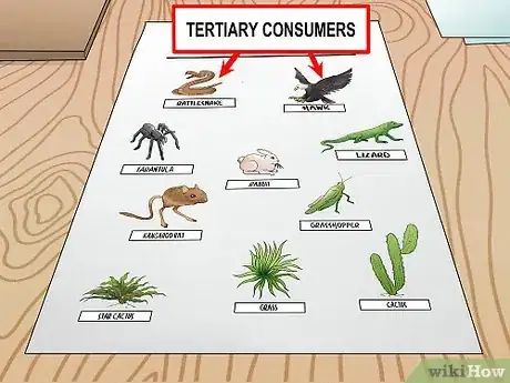 Image titled Draw a Food Web Step 9