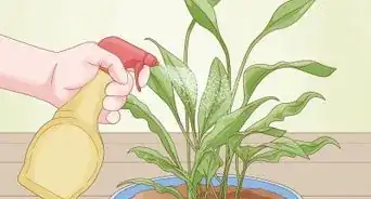 Revive a Plant