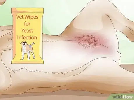 Image titled Solve Your Dog's Skin and Scratching Problems Step 3