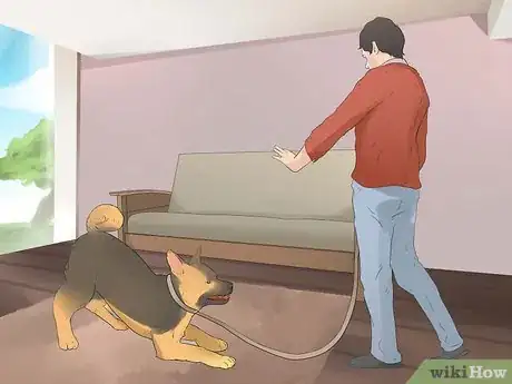 Image titled Teach Your Dog to Walk on a Leash Step 4