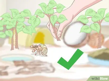 Image titled Decorate Your Hermit Crab's Tank Step 13