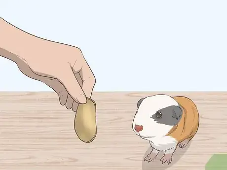 Image titled Hold a Guinea Pig Step 10
