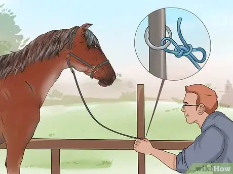 Image titled Take a Horse's Temperature Step 4
