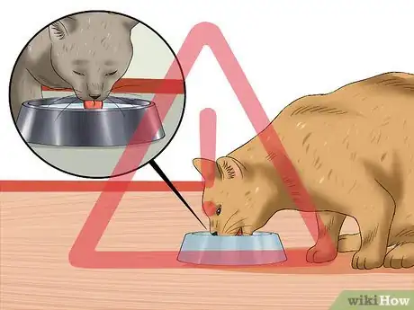 Image titled Prevent Feline Panleukopenia (Distemper) Step 5