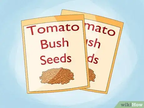 Image titled Grow Bush Tomatoes Step 1