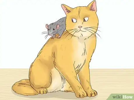 Image titled Choose Between a Pet Mouse or Pet Rat Step 10