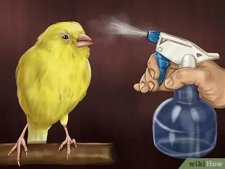 Image titled Get a Canary to Sing Step 9