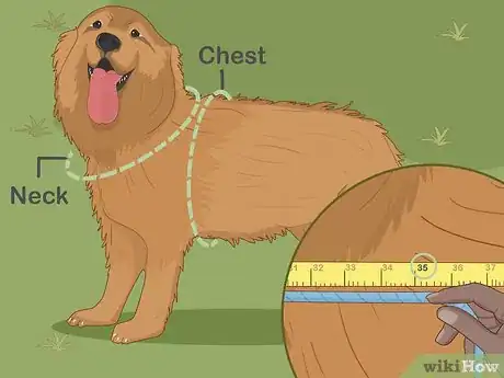 Image titled Choose the Right Life Jacket for Your Dog Step 2