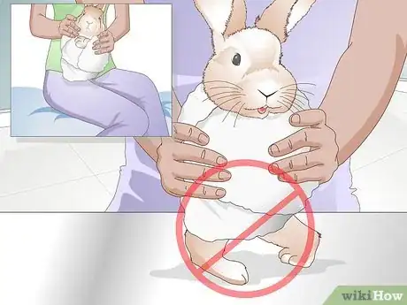Image titled Trim Rabbit Toenails Step 10