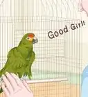 Teach Parrots to Talk