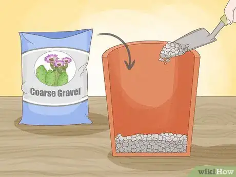 Image titled Grow Cactus in Containers Step 7