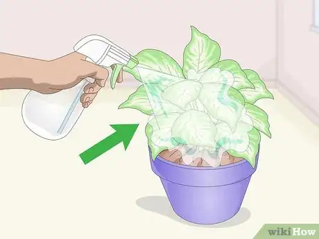 Image titled Keep Your Plants from Dying Step 3
