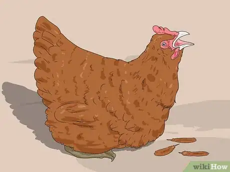 Image titled Hypnotize a Chicken Step 10