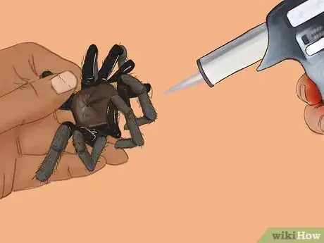 Image titled Cook Tarantula Spiders Step 6
