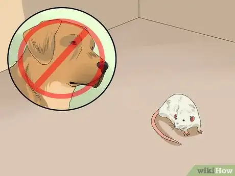 Image titled Keep Pet Rats Safe from Dogs Step 4